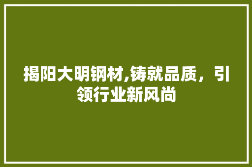 揭阳大明钢材,铸就品质，引领行业新风尚
