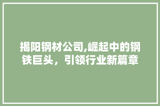 揭阳钢材公司,崛起中的钢铁巨头，引领行业新篇章