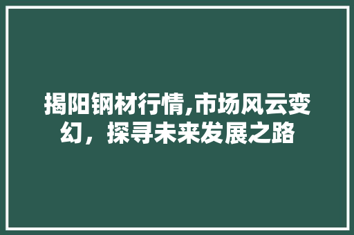 揭阳钢材行情,市场风云变幻，探寻未来发展之路