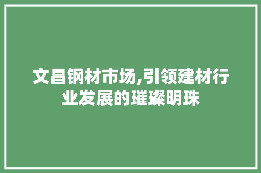 文昌钢材市场,引领建材行业发展的璀璨明珠