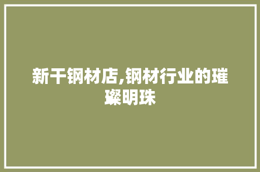新干钢材店,钢材行业的璀璨明珠