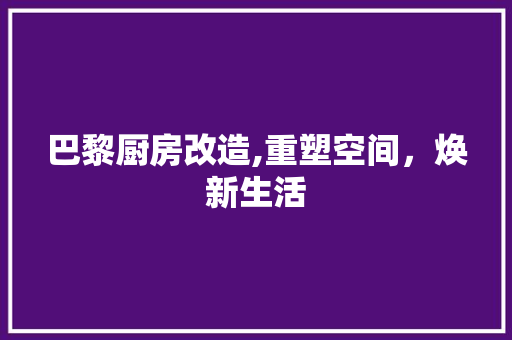 巴黎厨房改造,重塑空间，焕新生活
