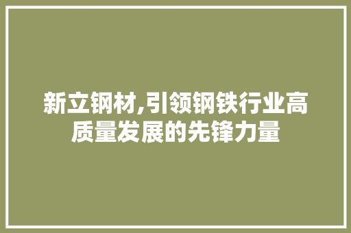 新立钢材,引领钢铁行业高质量发展的先锋力量