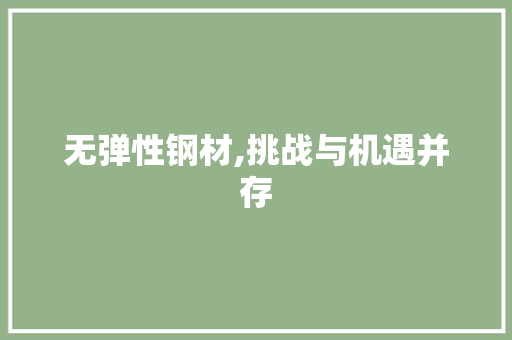 无弹性钢材,挑战与机遇并存