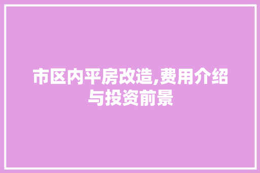 市区内平房改造,费用介绍与投资前景