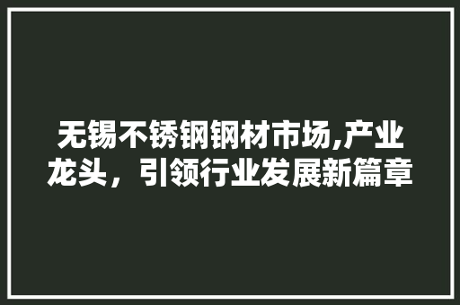 无锡不锈钢钢材市场,产业龙头，引领行业发展新篇章