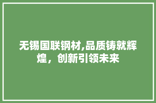 无锡国联钢材,品质铸就辉煌，创新引领未来