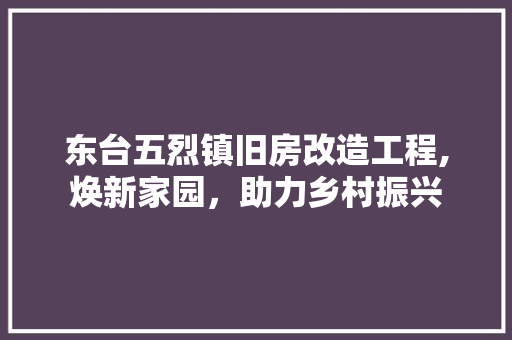 东台五烈镇旧房改造工程,焕新家园，助力乡村振兴