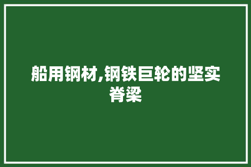 船用钢材,钢铁巨轮的坚实脊梁