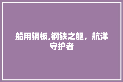 船用钢板,钢铁之躯，航洋守护者