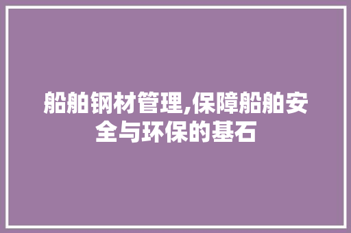 船舶钢材管理,保障船舶安全与环保的基石