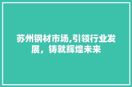 苏州钢材市场,引领行业发展，铸就辉煌未来