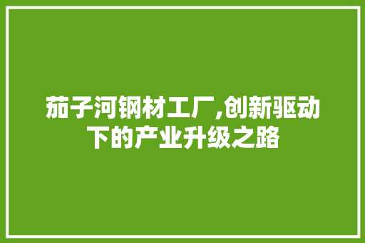 茄子河钢材工厂,创新驱动下的产业升级之路