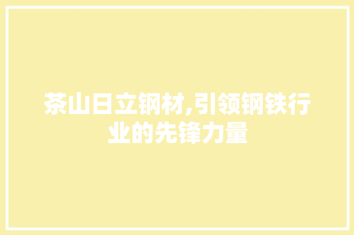 茶山日立钢材,引领钢铁行业的先锋力量