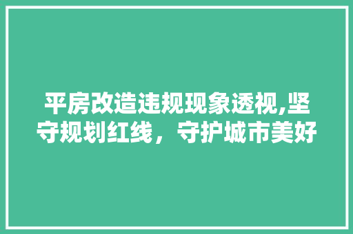 平房改造违规现象透视,坚守规划红线，守护城市美好家园