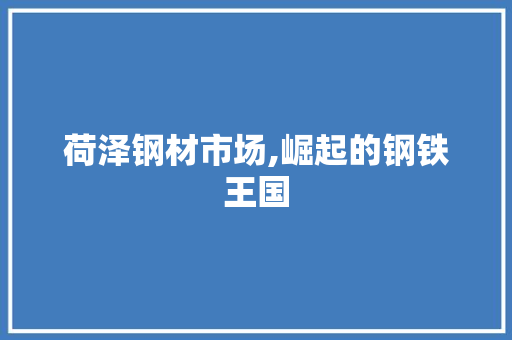 荷泽钢材市场,崛起的钢铁王国