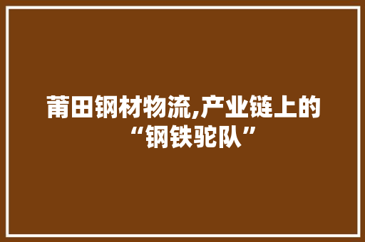 莆田钢材物流,产业链上的“钢铁驼队”