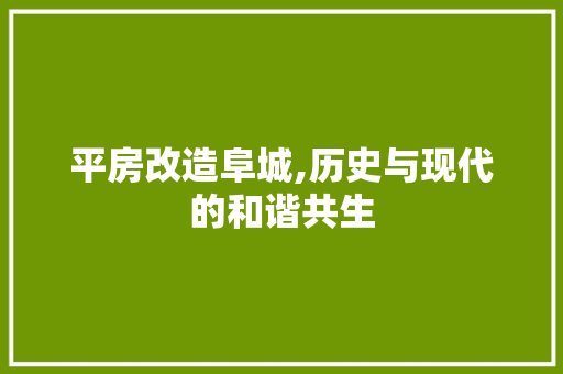 平房改造阜城,历史与现代的和谐共生