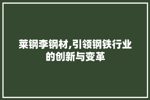 莱钢李钢材,引领钢铁行业的创新与变革