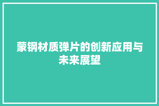 蒙钢材质弹片的创新应用与未来展望
