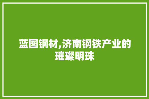 蓝图钢材,济南钢铁产业的璀璨明珠