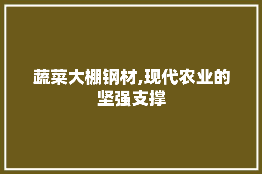 蔬菜大棚钢材,现代农业的坚强支撑