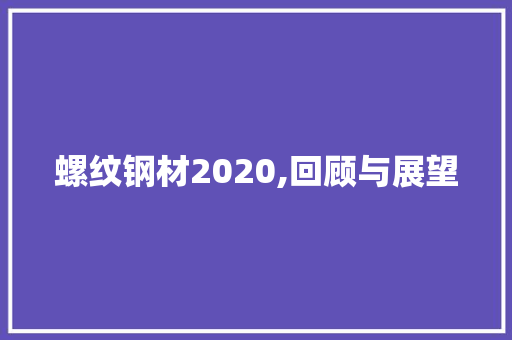 螺纹钢材2020,回顾与展望