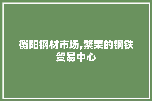 衡阳钢材市场,繁荣的钢铁贸易中心