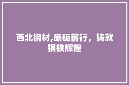 西北钢材,砥砺前行，铸就钢铁辉煌