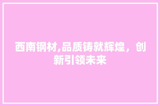 西南钢材,品质铸就辉煌，创新引领未来