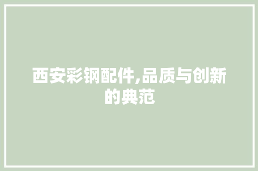 西安彩钢配件,品质与创新的典范