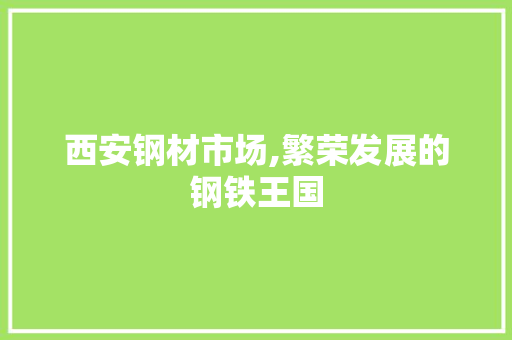 西安钢材市场,繁荣发展的钢铁王国