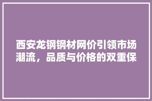 西安龙钢钢材网价引领市场潮流，品质与价格的双重保障