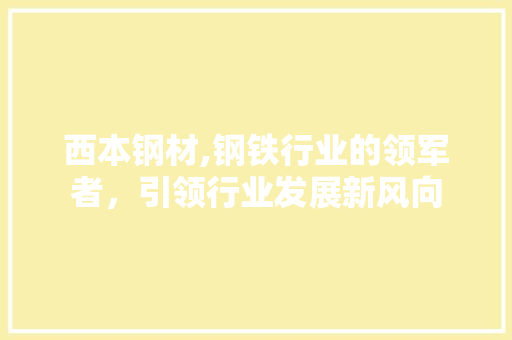 西本钢材,钢铁行业的领军者，引领行业发展新风向