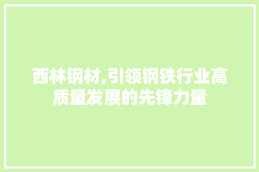 西林钢材,引领钢铁行业高质量发展的先锋力量