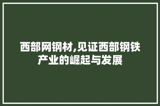西部网钢材,见证西部钢铁产业的崛起与发展 庭院装修