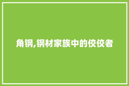 角钢,钢材家族中的佼佼者