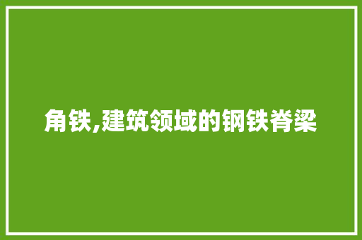角铁,建筑领域的钢铁脊梁
