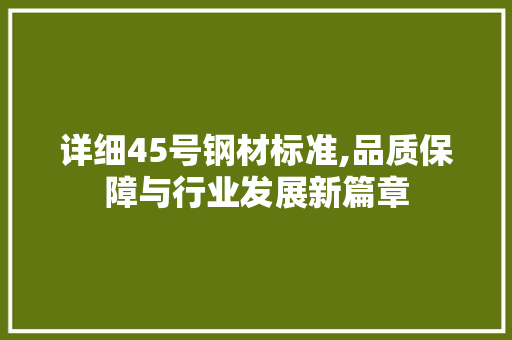 详细45号钢材标准,品质保障与行业发展新篇章