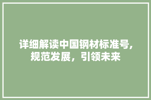详细解读中国钢材标准号,规范发展，引领未来