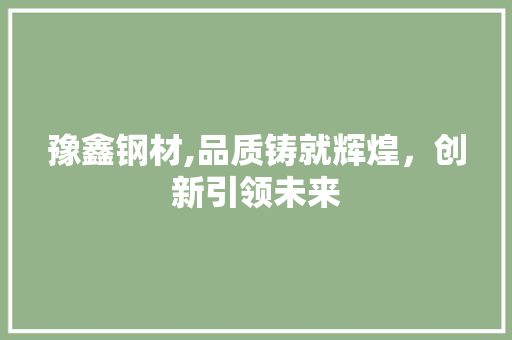 豫鑫钢材,品质铸就辉煌，创新引领未来