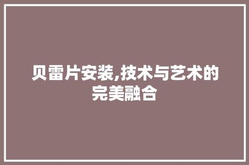 贝雷片安装,技术与艺术的完美融合