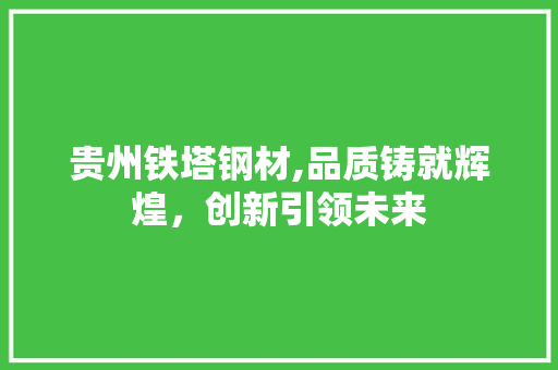贵州铁塔钢材,品质铸就辉煌，创新引领未来