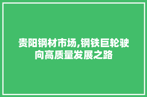 贵阳钢材市场,钢铁巨轮驶向高质量发展之路