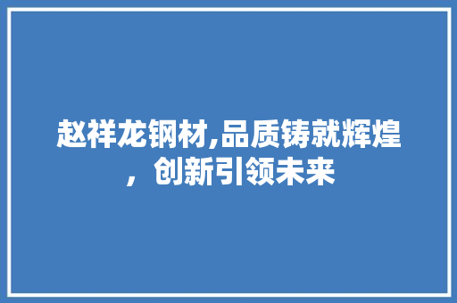 赵祥龙钢材,品质铸就辉煌，创新引领未来