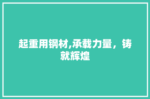 起重用钢材,承载力量，铸就辉煌