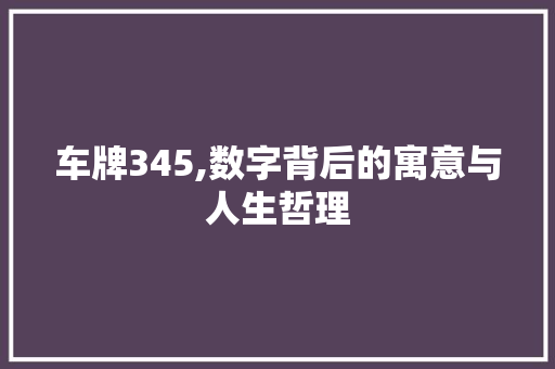 车牌345,数字背后的寓意与人生哲理