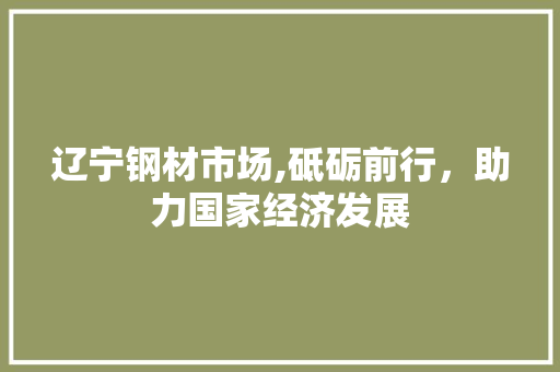 辽宁钢材市场,砥砺前行，助力国家经济发展
