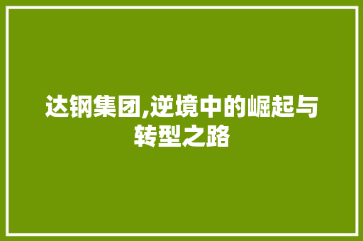 达钢集团,逆境中的崛起与转型之路