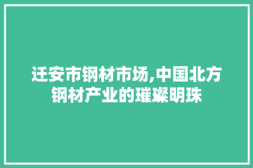 迁安市钢材市场,中国北方钢材产业的璀璨明珠